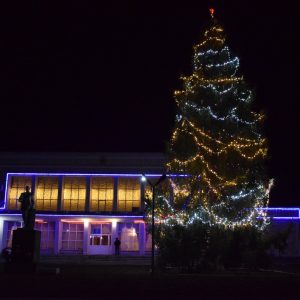 На главной ёлке Копчака зажглись праздничные огни