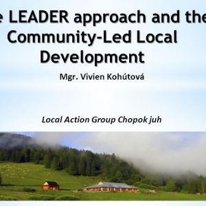 Навстречу процветающему селу: Конкурс проектных заявок в поддержку сельского развития на местном уровне