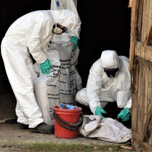 В Копчаке стартовал процесс вывоза более 10 тонн пестицидов