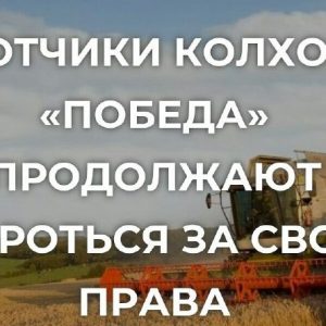 Жители села Копчак обратились за защитой своих прав к председателю Парламента и главе Правительства Молдовы