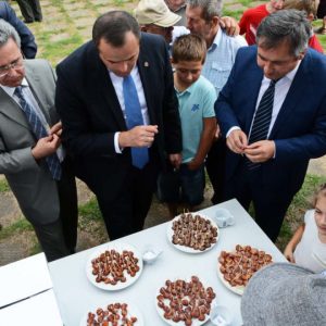 В рамках праздника «День села» 5 ноября будет проведен национальный фестиваль «Баур-2018»