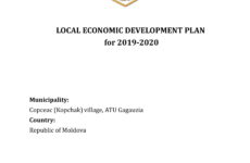 План местного экономического развития 2019-2020