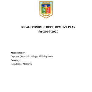 План местного экономического развития 2019-2020