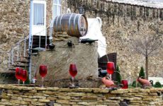 12 марта, встреча на тему: «Развитие сельского туризма в АТО Гагаузии»