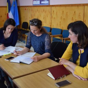 Заседание отборочного комитета МИГ-а «Долина Родников»