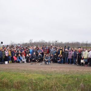 В среду, 20 ноября в с.Копчак прошел день озеленения