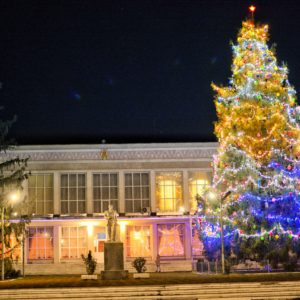 Самая высокая ель в Молдове зажгла свои новогодние огни в Копчаке