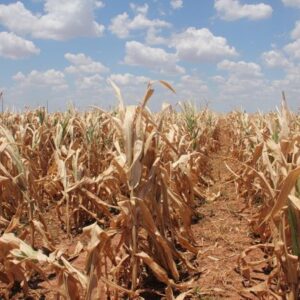 Заседние КЧС от 11.08.2020