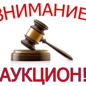 Объявление о проведении аукциона в Примэрии Копчака