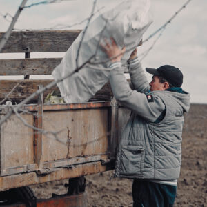Инициативная группа из с. Копчак  организовала  уборку  рощи