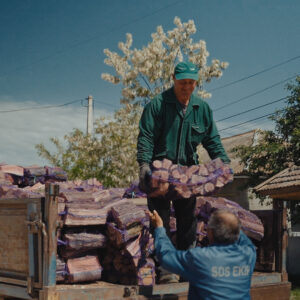 Дрова социально-уязвимым семьям из Копчака.