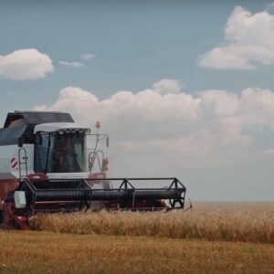 (Video) Жатва 2021. Началась уборка  первой группы зерновых.