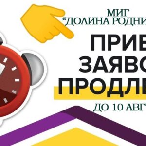 Прием заявок на грант продлен до 10 августа