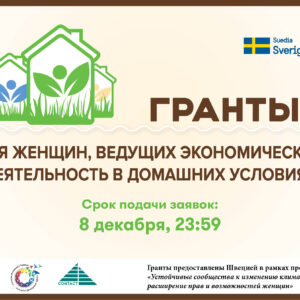Швеция и ПРООН предоставляют гранты для женщин, ведущих экономическую деятельность в домашних условиях