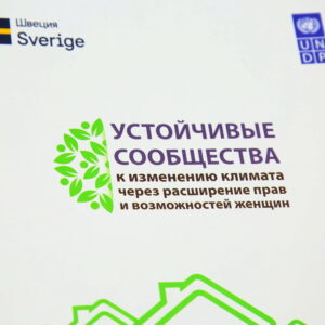 Примэрия Копчака выиграла грант в экологическом проекте: жители получат мусорные контейнеры и возможность сортировки пластика