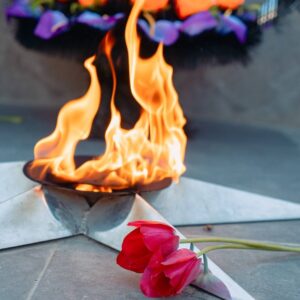 Во время празднования Дня Победы в небе над Копчаком  пролетела стая журавлей