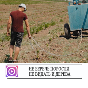 Не беречь поросли — не видать и дерева.