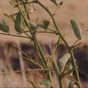 Нанесен значительный ущерб…