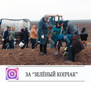 Вблизи села Копчак высажена новая лесополоса