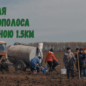 Высажена новая лесополоса длинною в 1,5 км.