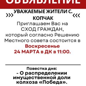 Внимание! Сход граждан назначен на 23 марта в 11 в большом зале ДК